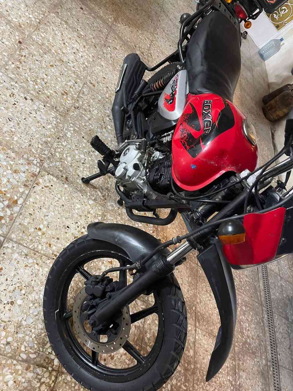 بوكسر • موديل ٢٢ • عوزه سلف