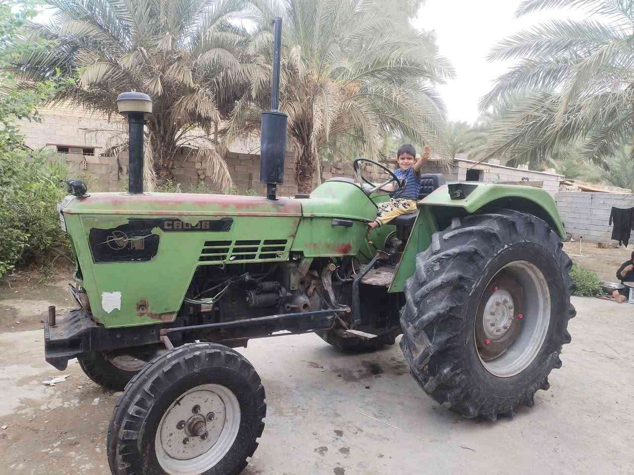 واسط • عجلة