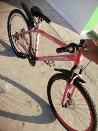 باسكل جبلي • ٧نمر • بريك يحتاج واير