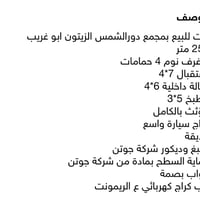دورالشمس الزيتون • ٢٥٢م • مؤثث بالكامل