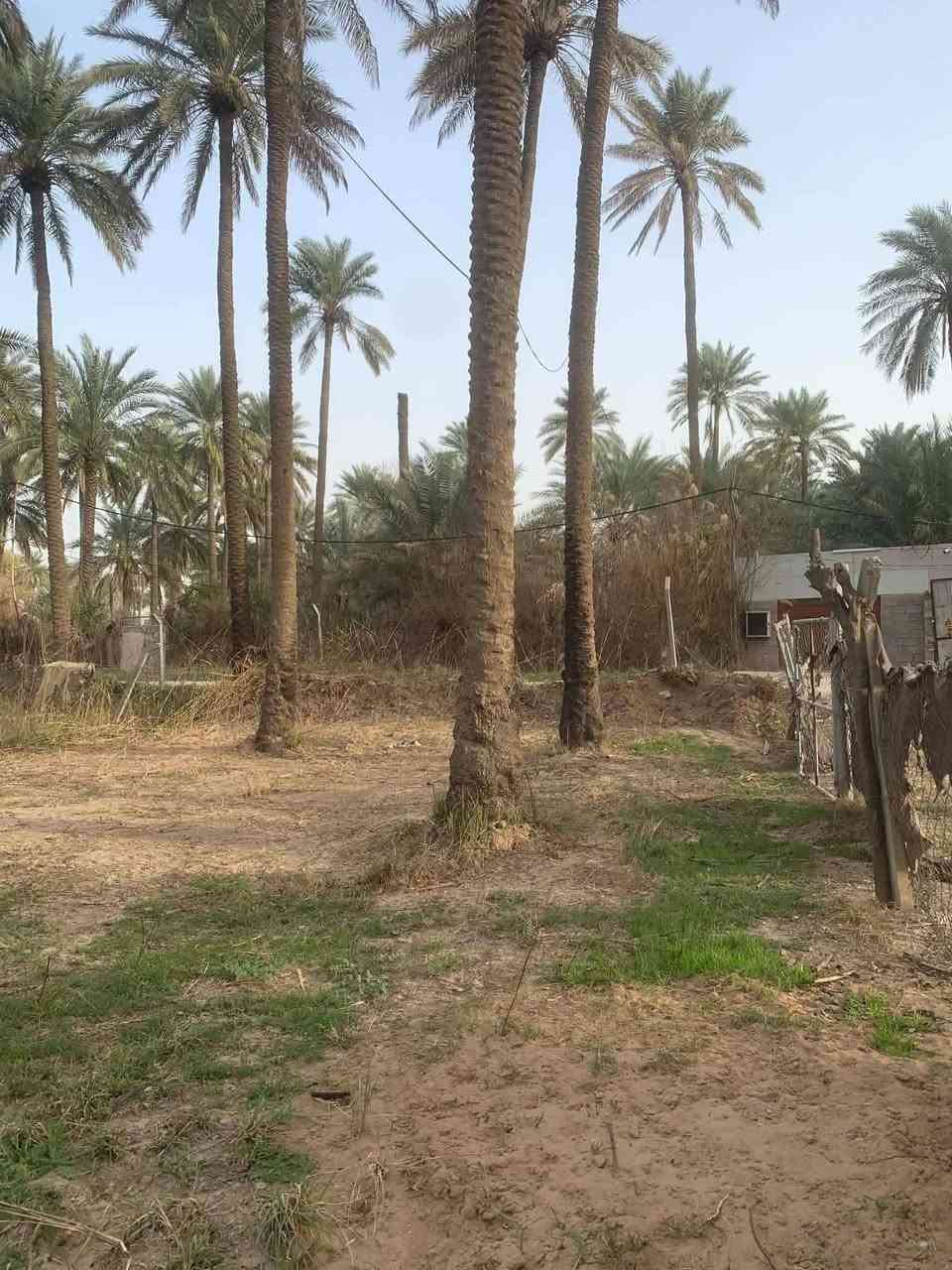 سلام عليكم 
قطعة ارض للبيع المساحة 300 م 
الواجهه على الشارع الرئيسي / 14 متر وعلى الفرعي 20 متر =  المجموع 34 متر  
النزال / 21 ونص متر 
الخدمات / ماء اساله + كهرباء + ماء بئر 
الموقع / بعقوبة - منطقة شفته 
 وبسعر مناسب جدآ ***********

