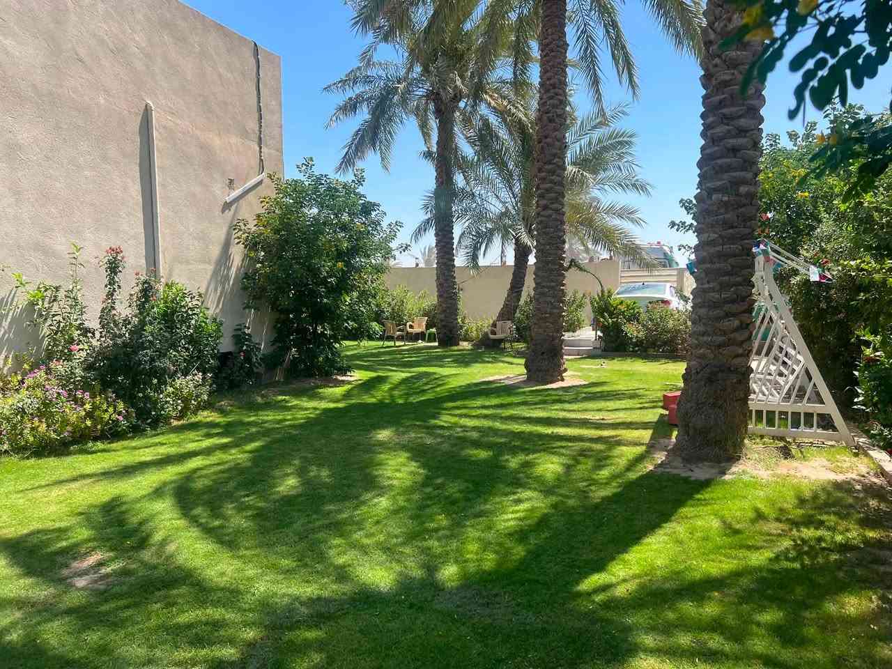 طابو زراعي • ٦٠٠م • غرفتين