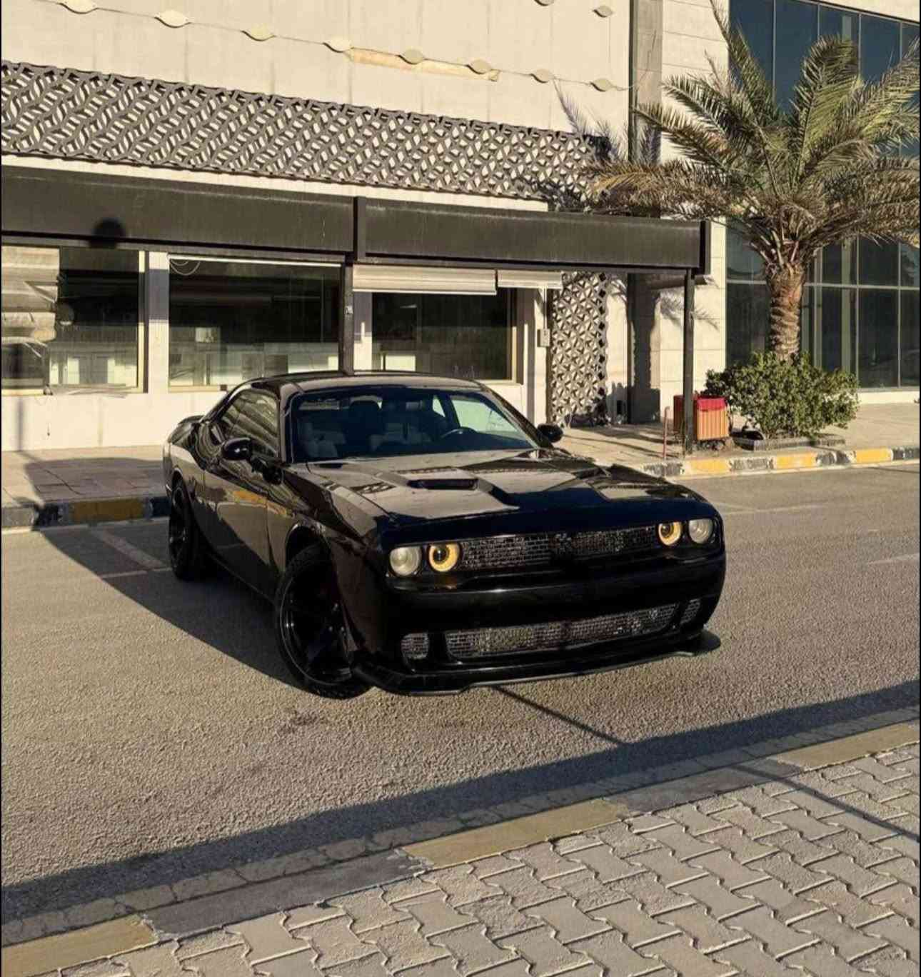 جالنجر • ٢٠١٦ • رقم بصره