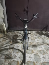 باسكل بيدي • لون مميز • كربلاء طويريج