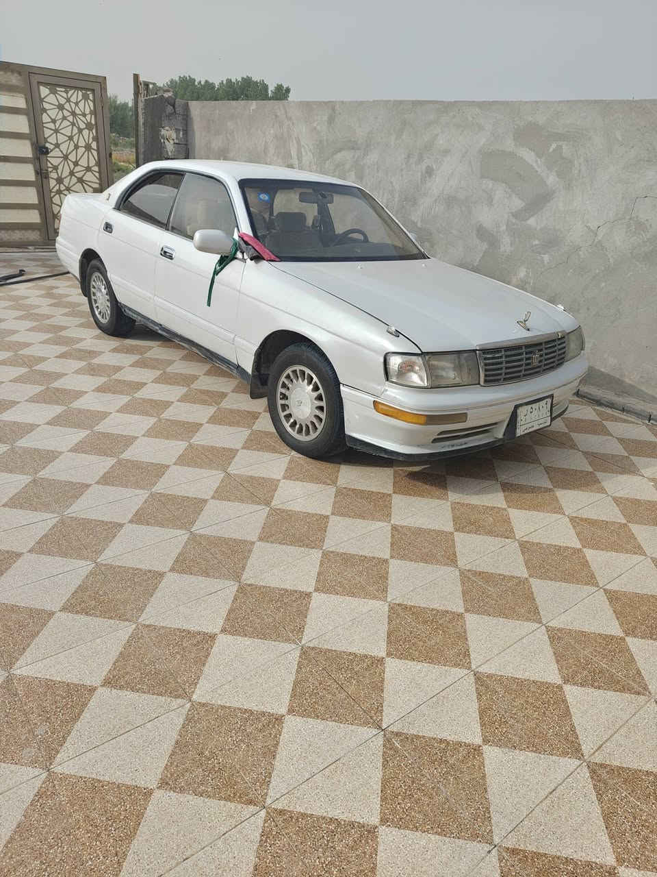 بطه • جاهزه للبيع • ٥٤
