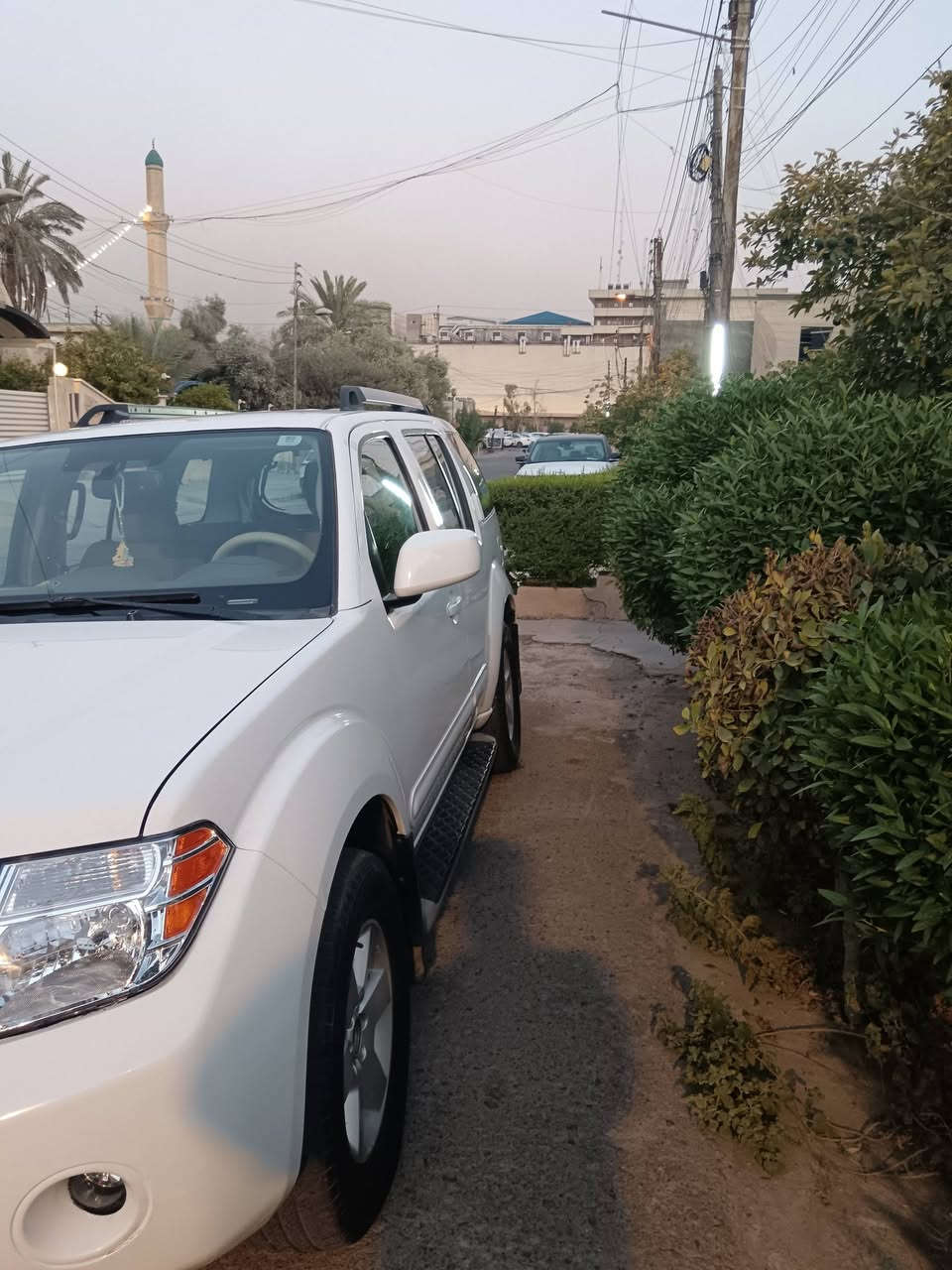 باثفايندر • ٢٠١١ • بدون صبغ