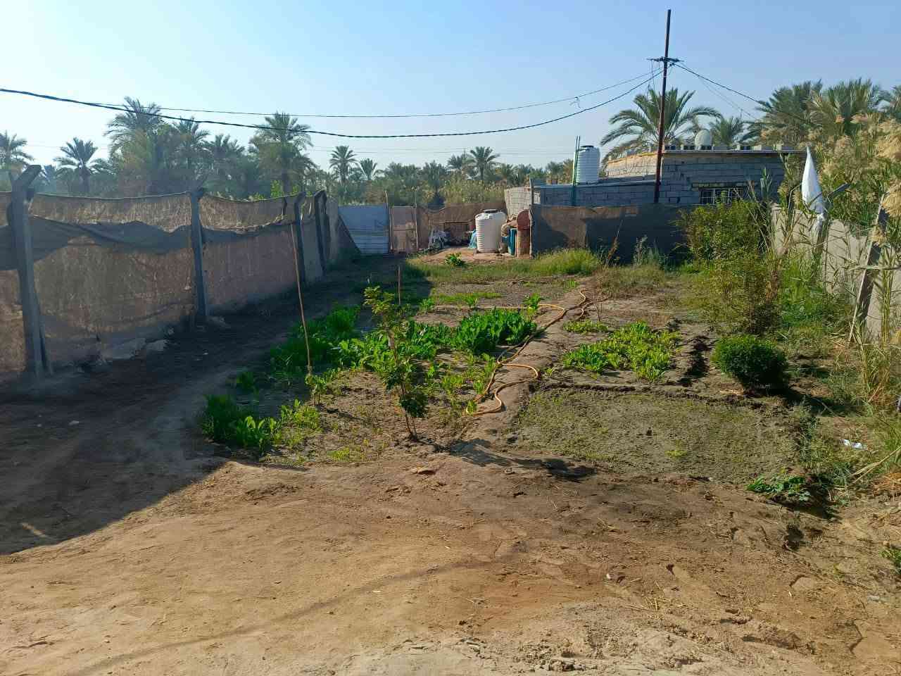 بيت للبيع المساحه (500)متر الموقع ناحيه الحيره شارع الصنين البيت بي(غرفتين وصاله ومطبخ وصحيات) طابو زراعي سند 25 مفروزه واحده البيت يبعد عن شارع العام 50متر ×سعر البيت 30 وبي مجا) رقم الهاتف***********
