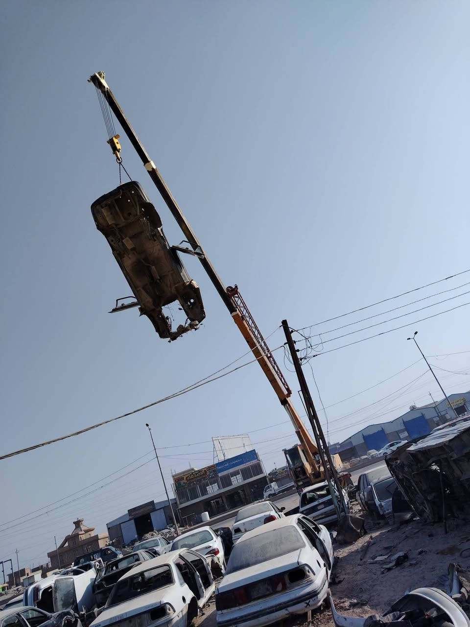 دايو برنس
