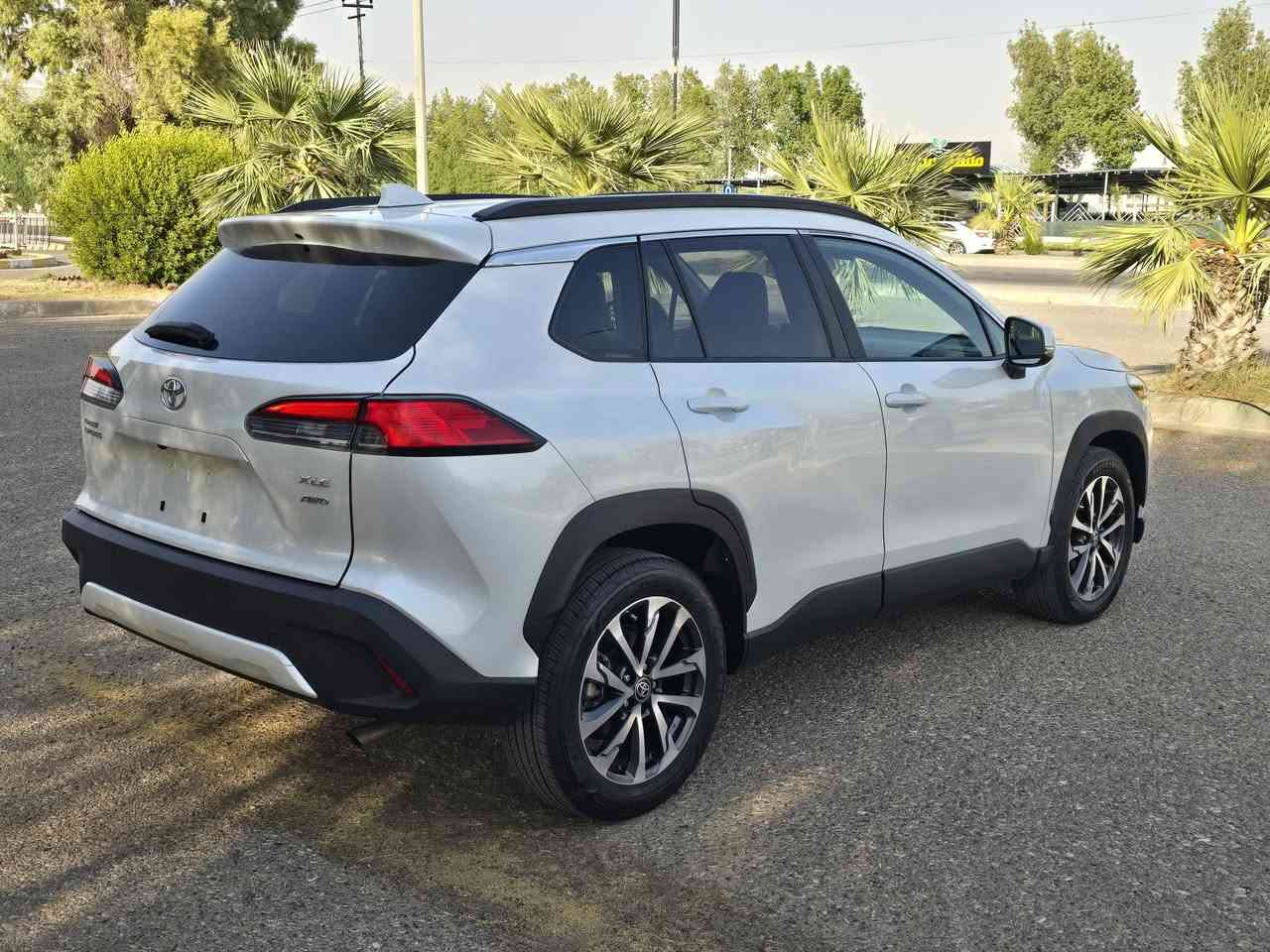 كروز XLE • ٢٠٢٤ • رقم اربيل