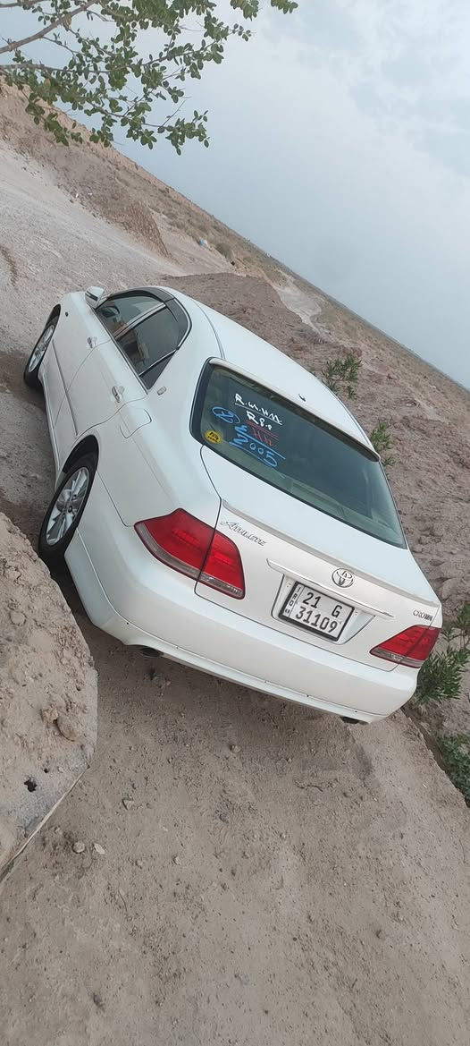 شاهينه • كشنات كهربائي • الدوانية