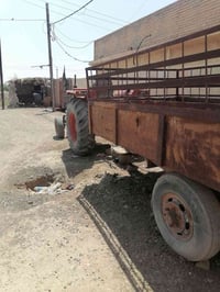 مكينه عربانه • عنتر ٧١ • شغاله