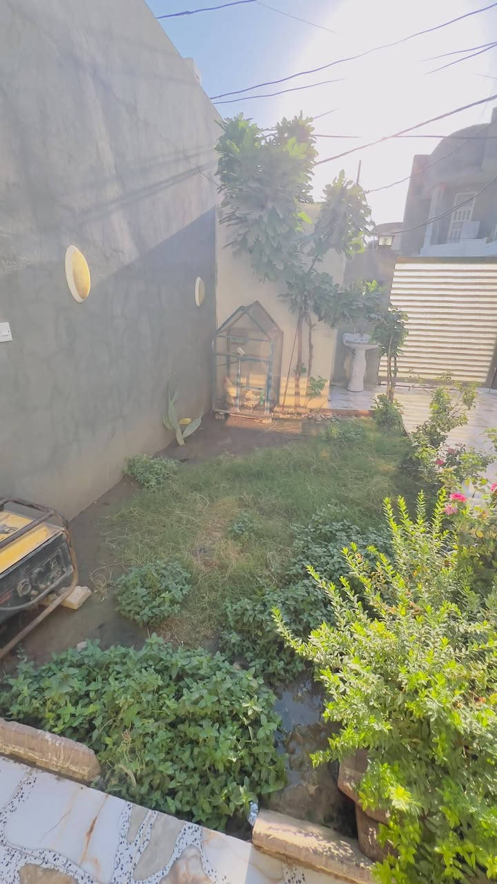 🏠 بيت للبيع في واسط – العزيزية

📐 المساحة: 200 متر
🏪 يحتوي على محل تجاري
🛋️ استقبال كبير + صالة
🛏️ 3 غرف نوم:
• غرفة في الطابق الأرضي
• غرفتان في الطابق الأول

🚿 3 مجاميع صحية
🍳 مطبخ بمساحة 4×5 متر
🏢 البيت طابقين

📍 الموقع: واسط – العزيزية – البستان – شارع أبو كمال

✅ الخدمات متوفرة: مجاري
📄 مسجل بالبلدية
📜 طابو زراعي – قانون 25

📞 للاستفسار ***********
ومعرفة السعر راسلنا على التلكرام
https://t.me/al99iy
