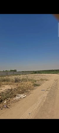 عرب جبور • ٣٠٠٠م • سند ٢٥
