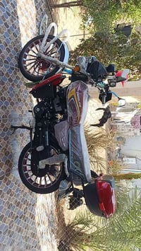 سيفان مجمبز • مكفول • اوراق