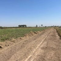 للبيع قطعة ارض في صدر اليوسفيه بالقرب من جامع الرحمن الرحيم طابو زراعي...