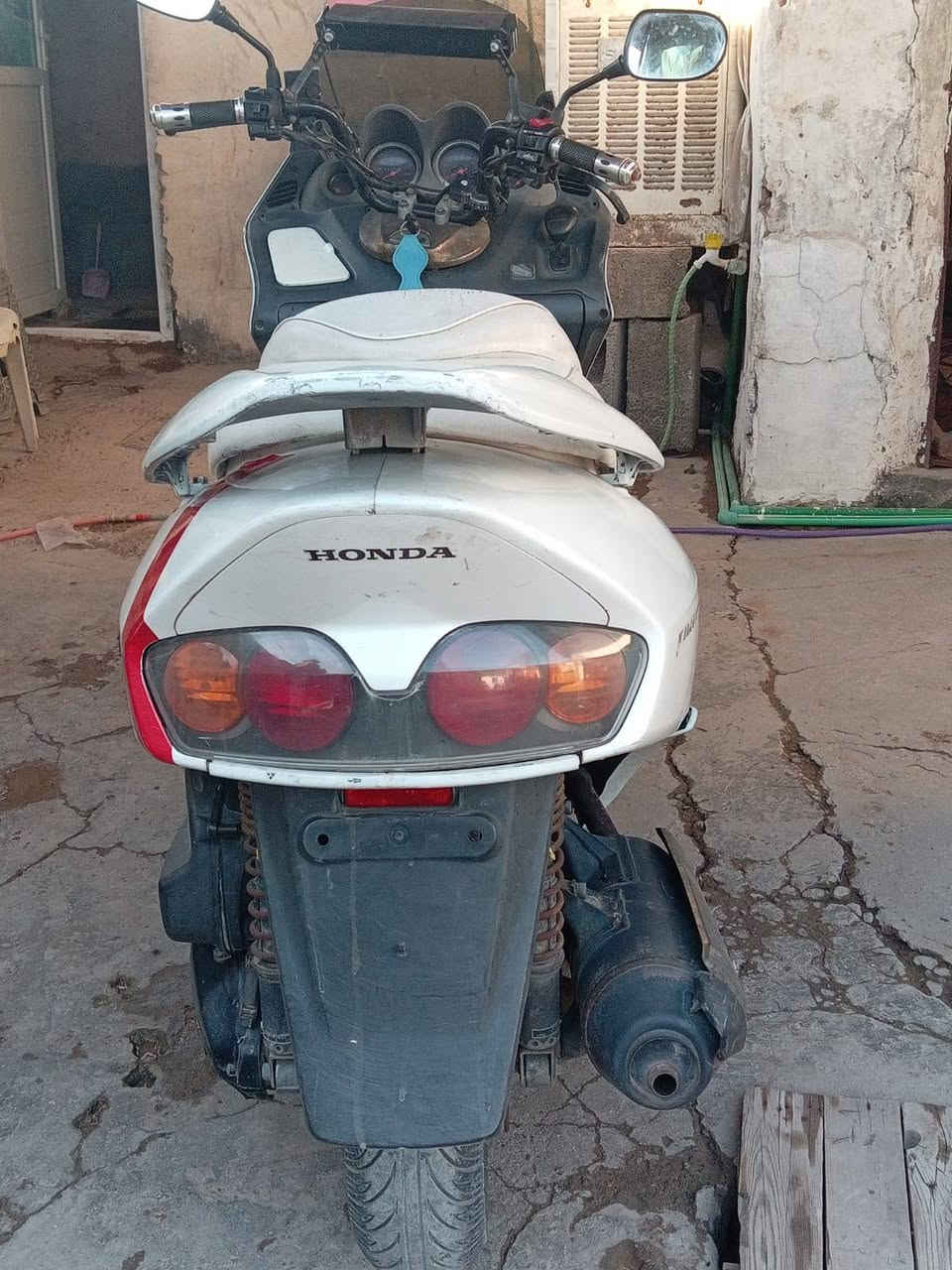 دراجه فورزا صفر سته شلعه ومعدل السعر 500
‏‪***********‬‏

