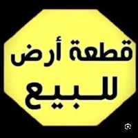الرمادي الورار • ١٤٠م • طابو