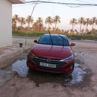 النترا امريكي • ٢٠١٩ • باب صبغ