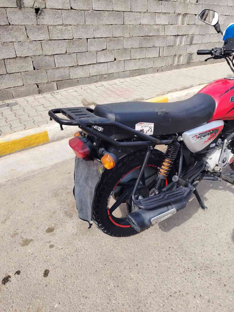 بوكسر • ٢٠٢١ • جاهزه