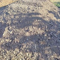 يوجد دمن دواجل بياض البيع ‏‪07868790494‬‏ 07500816618