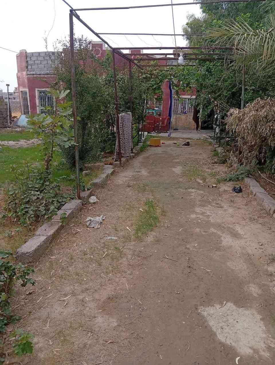 بيت ومحلات • مساحة ١٠٠٥٠ • بيع مستعجل