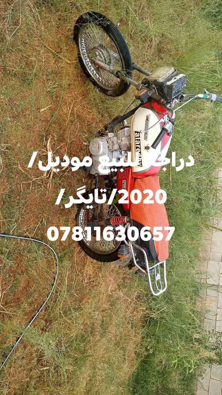 تايگر • ٢٠٢٠