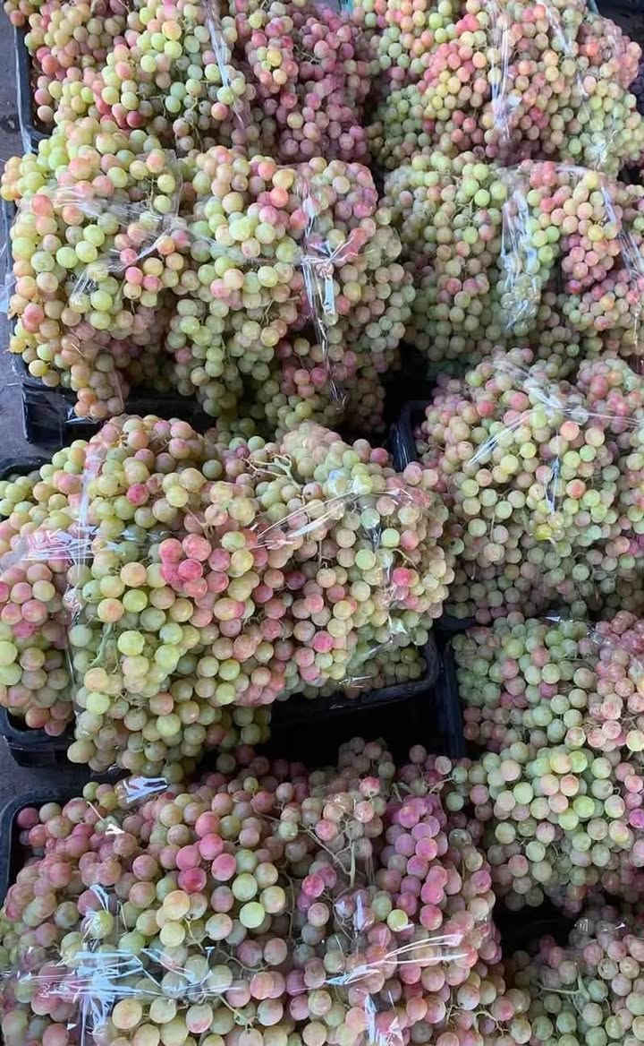 من رخصة الادمن على باب الله متوفر توصيل
***********
