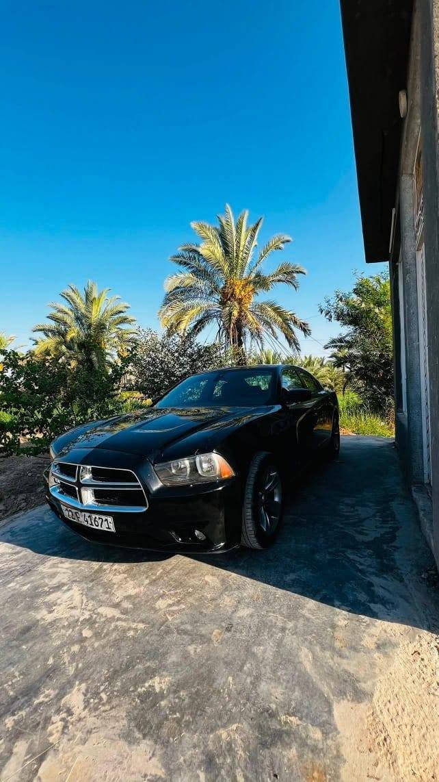 للبيع جارجر 13 صبغ حزام بدون دواخل بسم عربي تحويل ثاني يوم سعر 105 بيه مجال مراوس حسب القناعه مكان سياره بابل شراي ينتصل مكلف بنشر ***********
