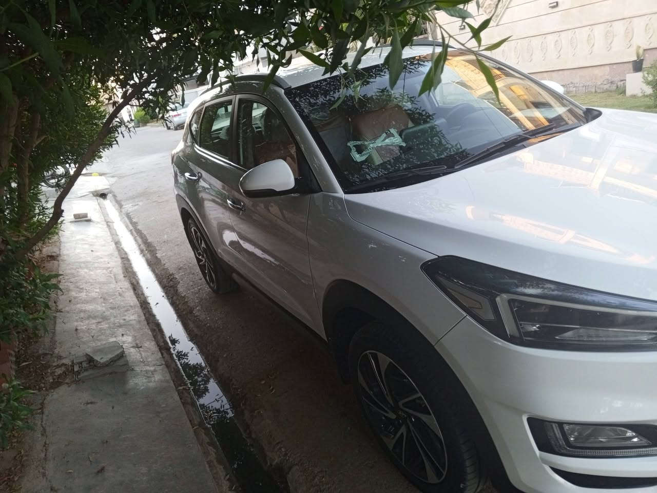 توسان ٢٠٢١ • خليجي • ديالى