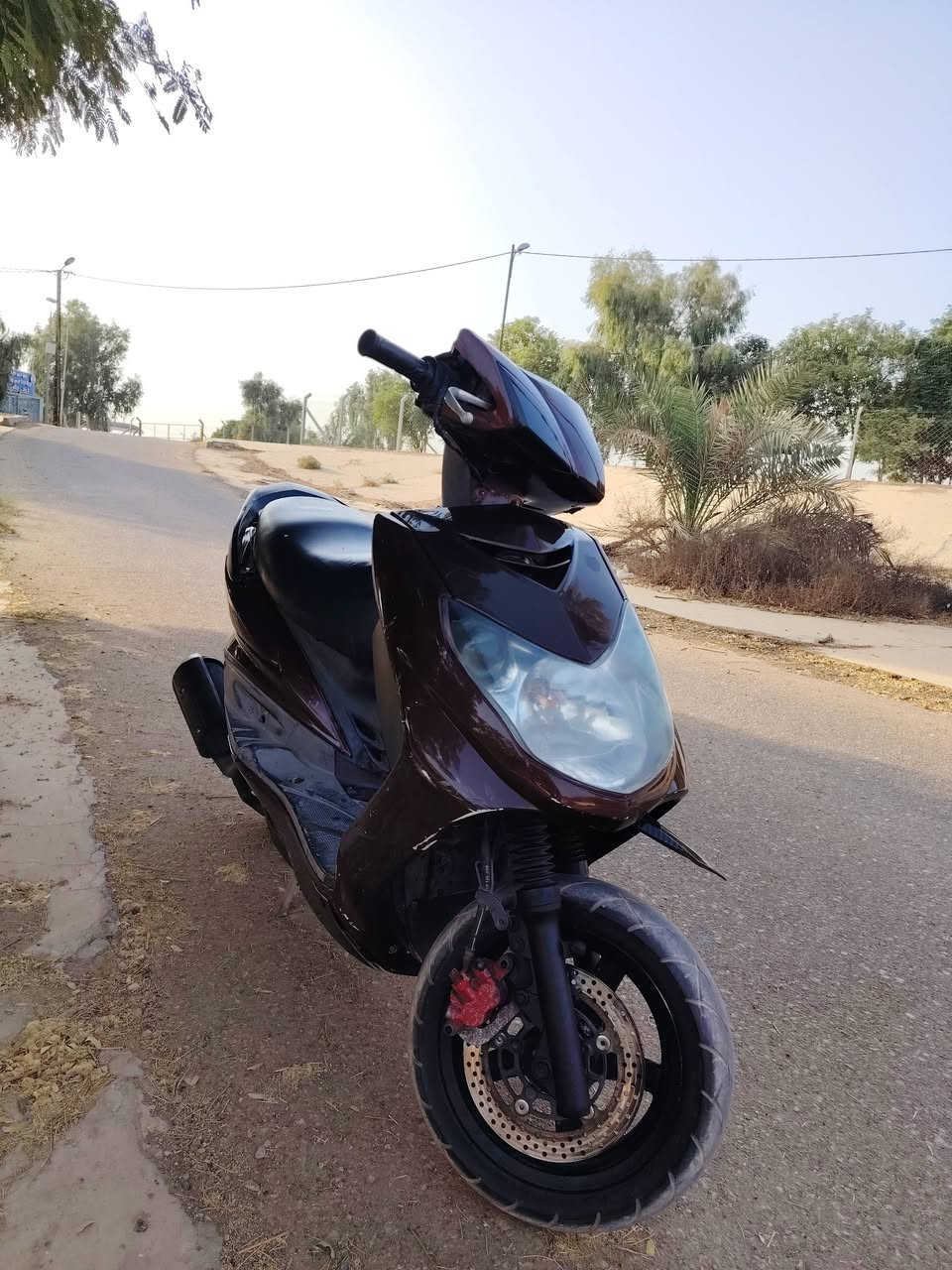 سكنس فحل • كابريتر • زونن