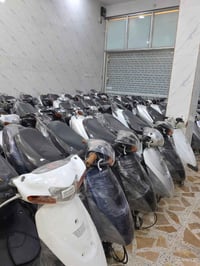 جملة • بغداد