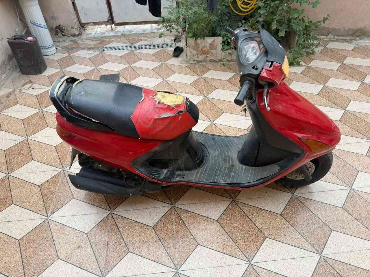 فراشه • فحل • معدل