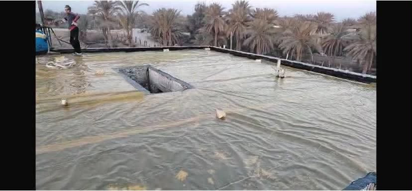 طابو ملك صرف • ١٠٠م • المهندسين ٣