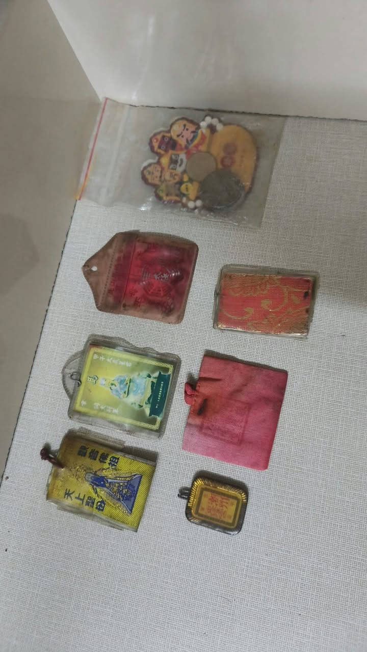 شلع • شارع فلسطين