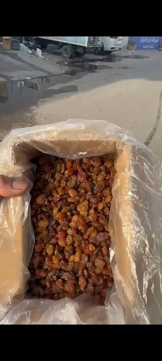 توصيل مجاني • كيلو و٢٠٠ • جملة