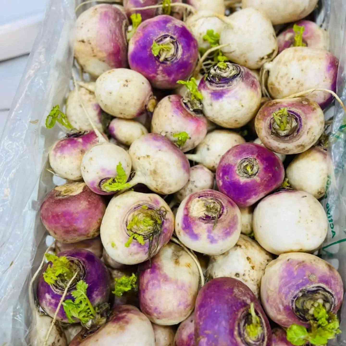 مسواكنه • جديد • واتساب