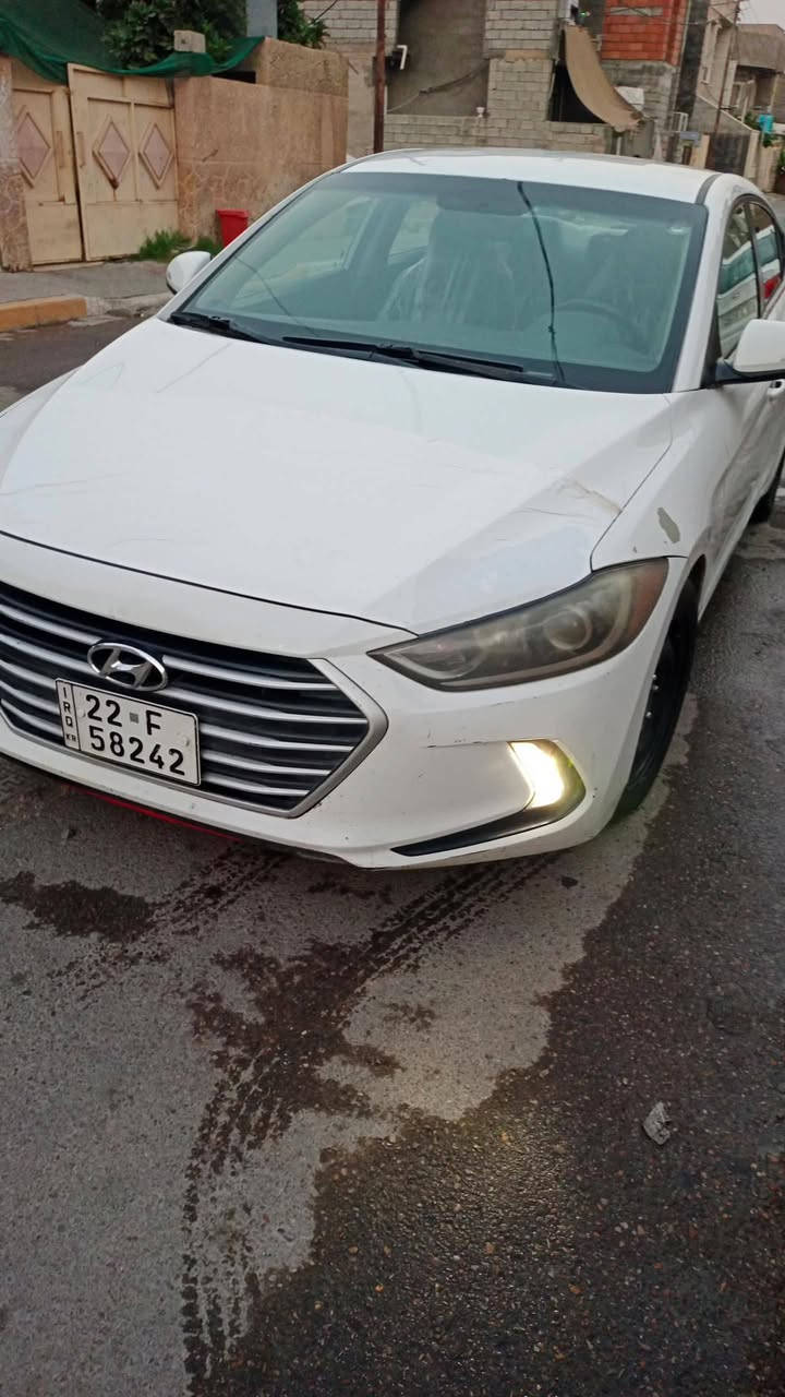 النترا ٢٠١٨ • وارد • ٥ قطع صبغ