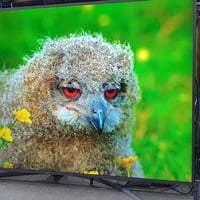 هیتاشی • ٦٥انچ • ستلايت