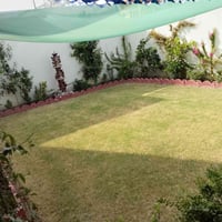 ترتيب حدائق • ديكورات حدائق • داخل الطيفيه