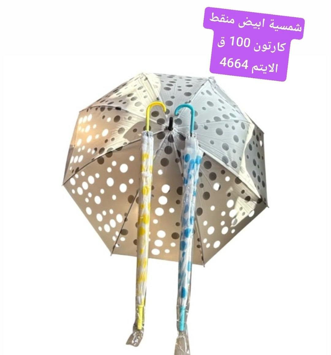 جملة الضمان • قرطاسية • الوزيرية الصناعية