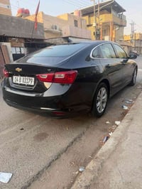 ماليبو ٢٠٢٣ • ضربه • رقم بصره