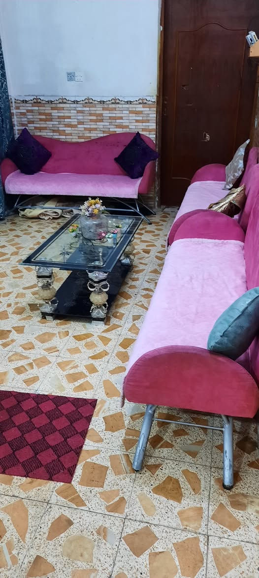 البيع تخم اصلي أوربي عنوان ميسان عماره اتصل 《***********》 عمارة, ميسان
