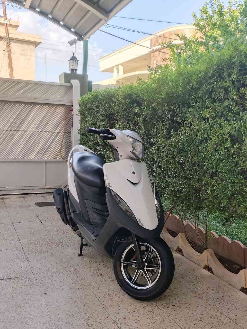 عدلة • بلادية • ٤٩