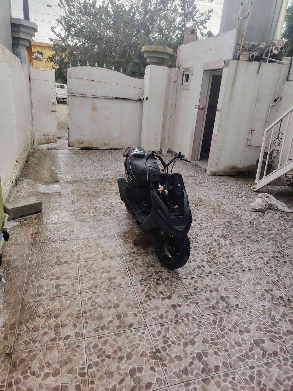 ماكس • بوشة ٤٩ • بلاديه