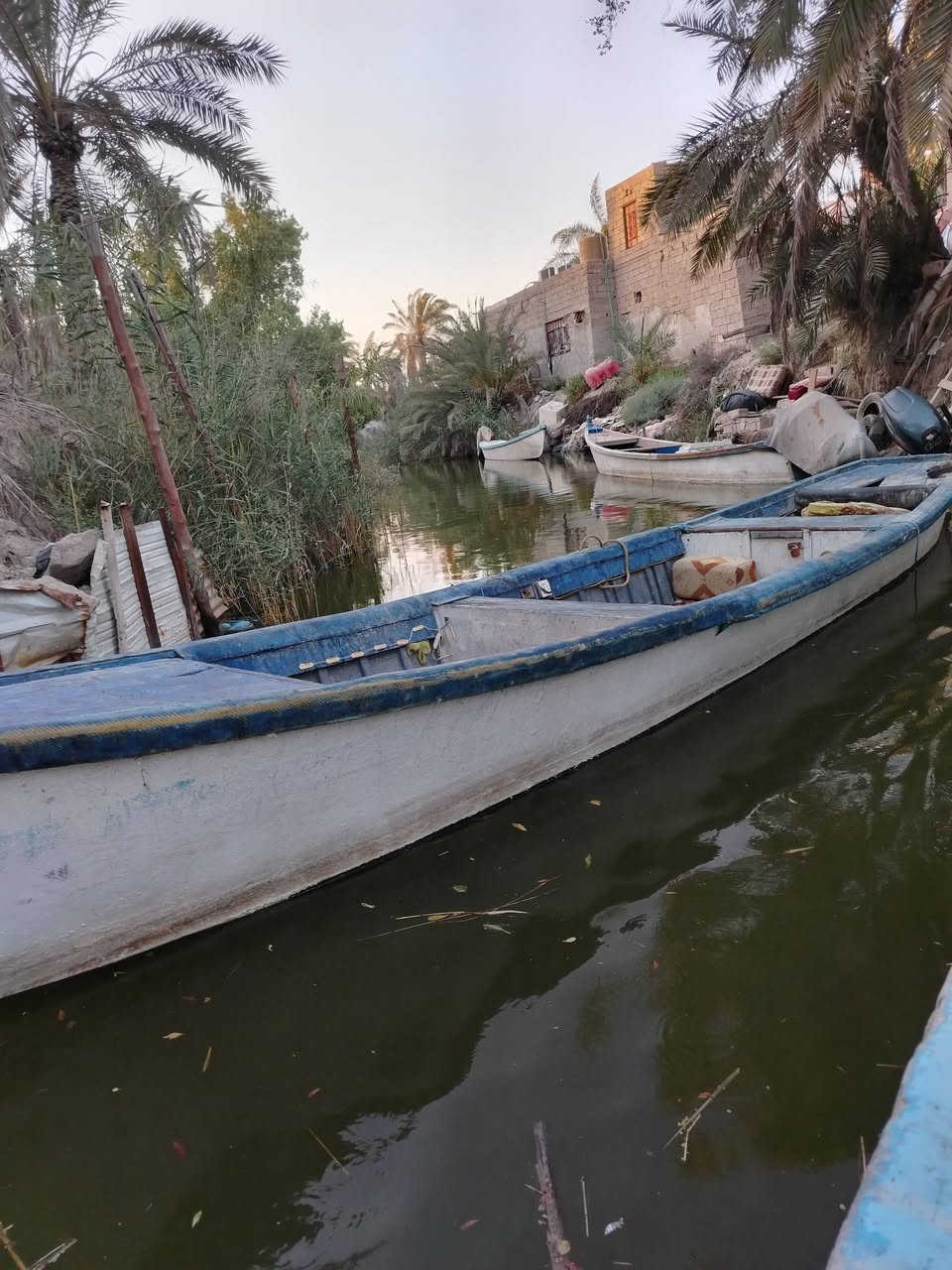 بلم ومكينه 40 يامها دولفين بس جره كلش نضيفه المكان ابو الخصيب رقم التلفون ***********
