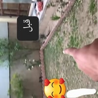 قص حدائق • زراعة شجر • قبل وبعد