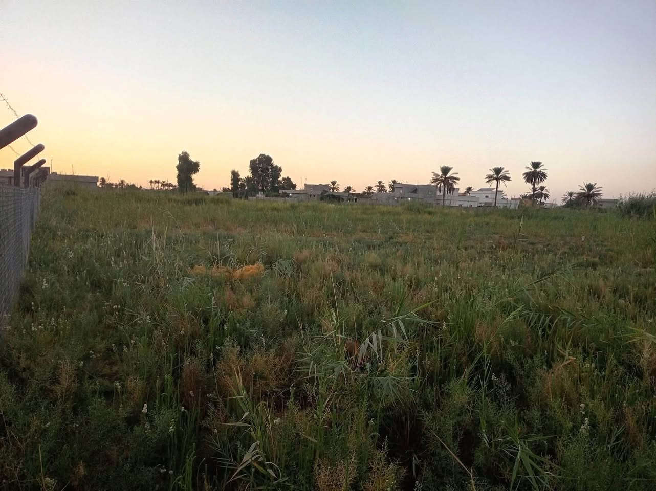 ٧٠٠م • طابو زراعي • قرب جامعه تكريت