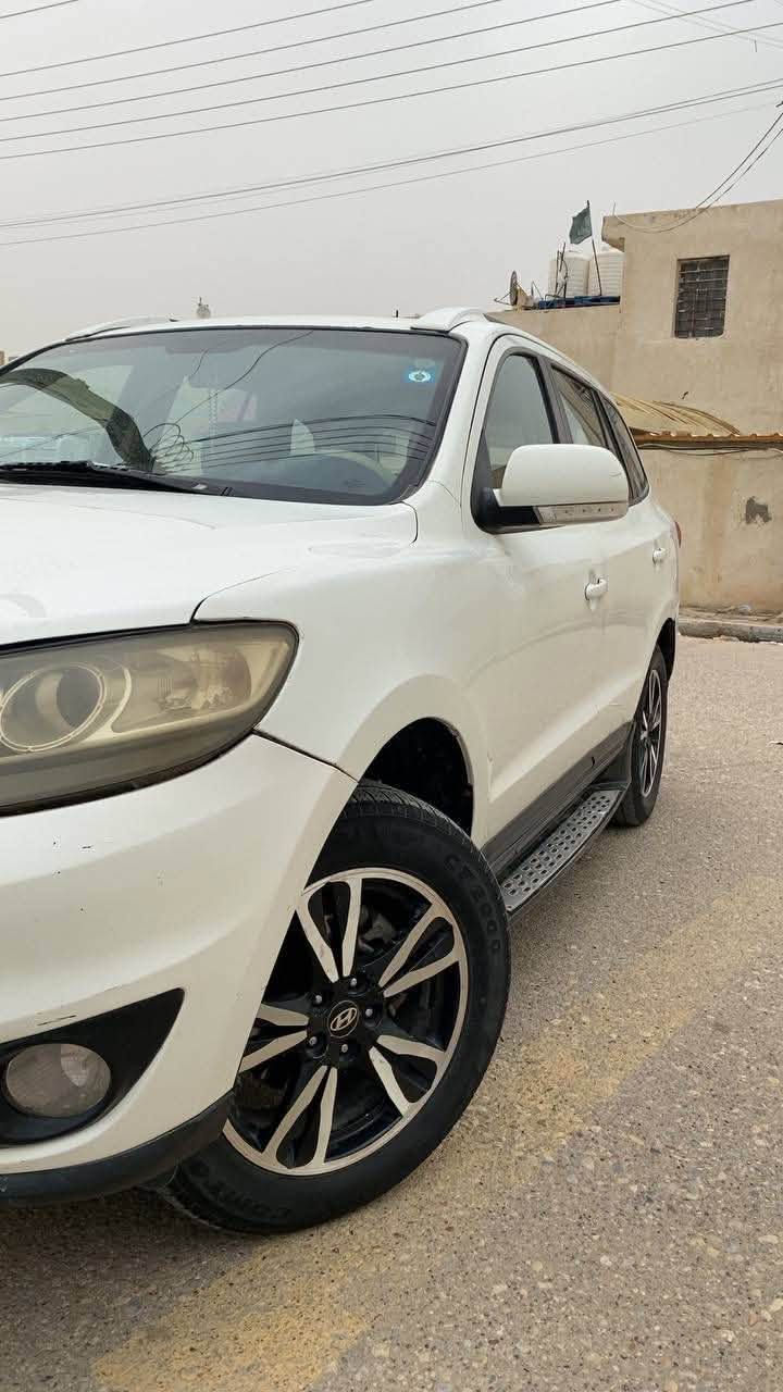 سنتافيا • ٢٠١٠ • رقم انبار