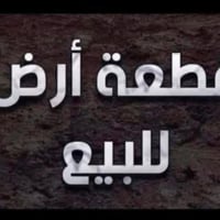 متوفر قطعتين ارض في شارع الزيتون                  1-دونم على الشارع مب...