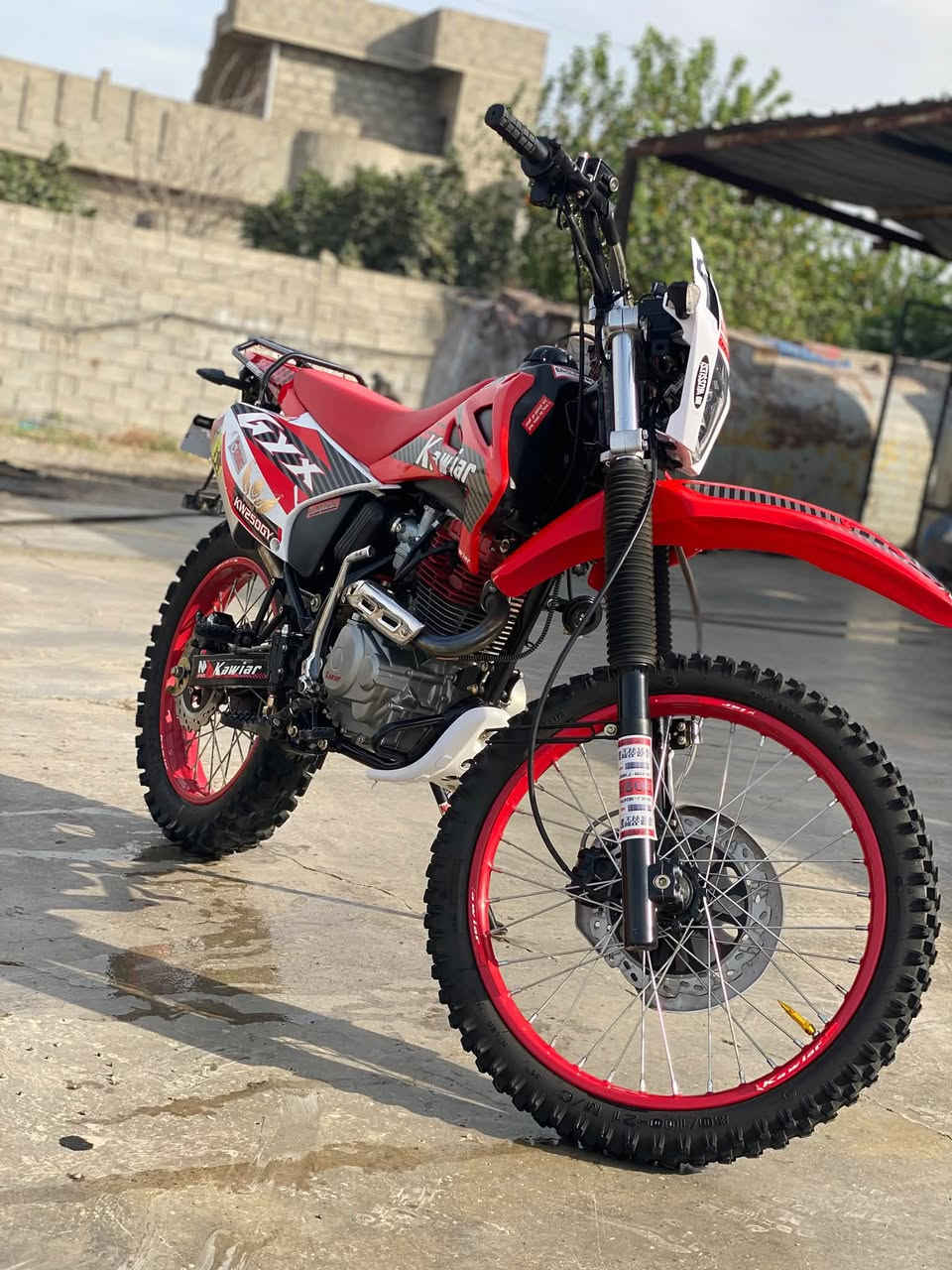 كاويار • ٢٥٠ • ٢٠٢٦